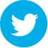twitter icon